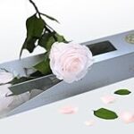 Pink Valentinos: Análisis y Comparativa de los Mejores Productos Dermocosméticos para un Cuidado Excepcional de la Piel